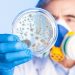 Gestire l’emergenza: contaminazione microbiologica negli stabilimenti alimentari